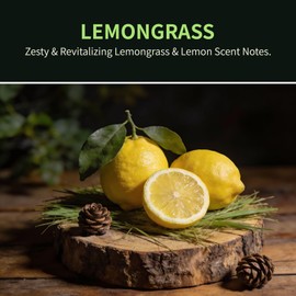 GAGINGOOLD Car Air Freshener Hanging 2 Pack, Lemon Grass Scent Essential Oil Diffuser Long Lasting Up to 150 Days, Cute Car Accessories with 2 Vent Clip for Women Men Gift, Odor Eliminator
