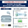 Sony (SONY) Fully wireless earphones WF-C500: / Lightweight and compact