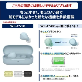 Sony (SONY) Fully wireless earphones WF-C500: / Lightweight and compact 5.4g / High-precision call quality / Easy pairing / IPX4 water-resistant / Black WF-C500 BZ
