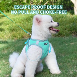 AIITLE Dog Harness for Medium Sized, No-Pull Pet Vest with a Leash, Breathable Mesh, Reflective Stripes, Escape Proof Pet Outdoor Harnesses Puppy Essentials for Medium Dogs Turquoise M