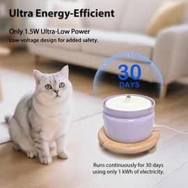 Hululu Ceramic Cat Water Fountain - 1L/37oz Super Quiet Small Pet Water Fountain, Automatic Cat Water Dispenser with Wood Raised Base, 2 Filter for Cats, Dogs, Dishwasher Safe (Purple, 1L)