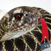 Kuscheltiere.biz Rattlesnake 100 cm Snake with Rattle Plush Snake Plush