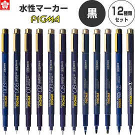 Sakura Crepas Pigma, Black, Set of 12 Types, 003 005 01 02 03 05 08 1 2 3 F BR