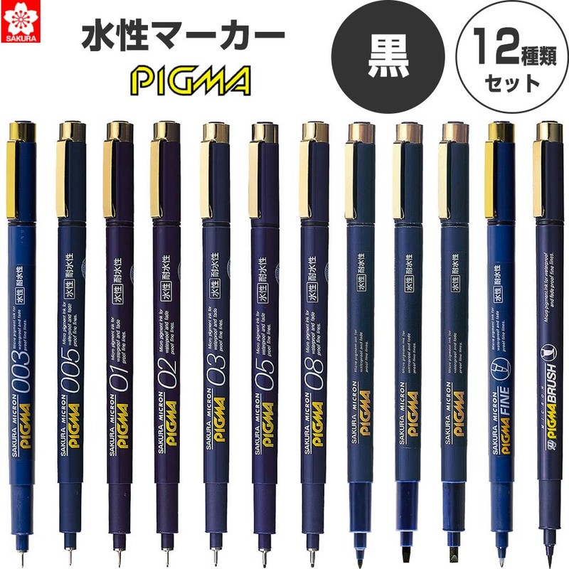 Sakura Crepas Pigma, Black, Set of 12 Types, 003 005