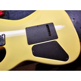 Jackson/Charvel Jackson - Charvel Model 1,  1A, 1C Rear Tremolo Cavity Cover *NEW* Reproduction!