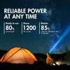 Tenergy T9688 Universal LCD Battery Charger and 12 AA and
