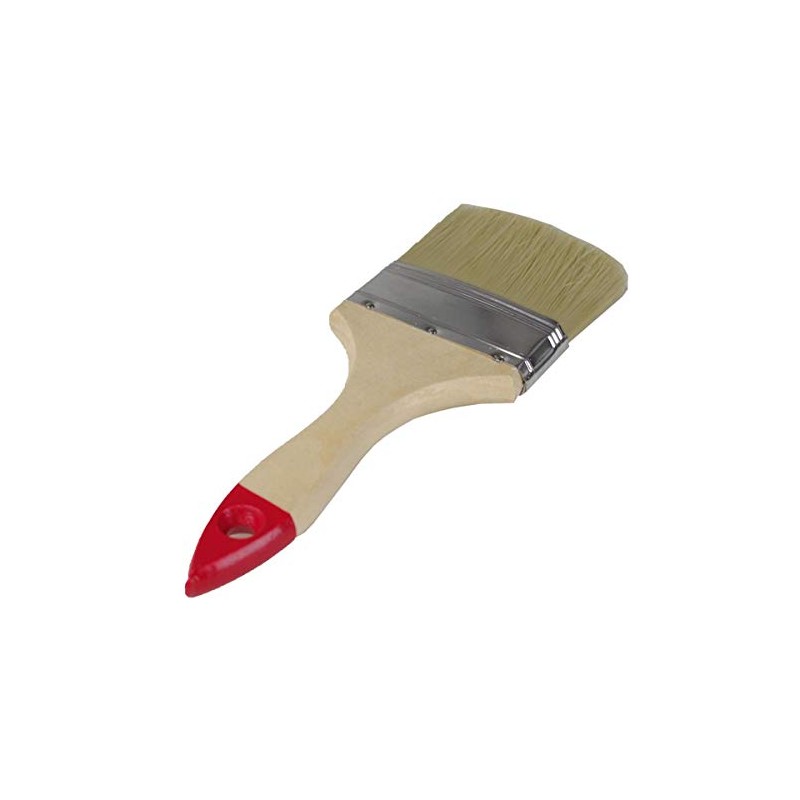 Color Expert 81267510 Professional Quality Paint Brush with Varnished Wooden
