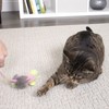 SmartyKat Juguetes elásticos para gatos y Gatitos, fomenta el Ejercicio,