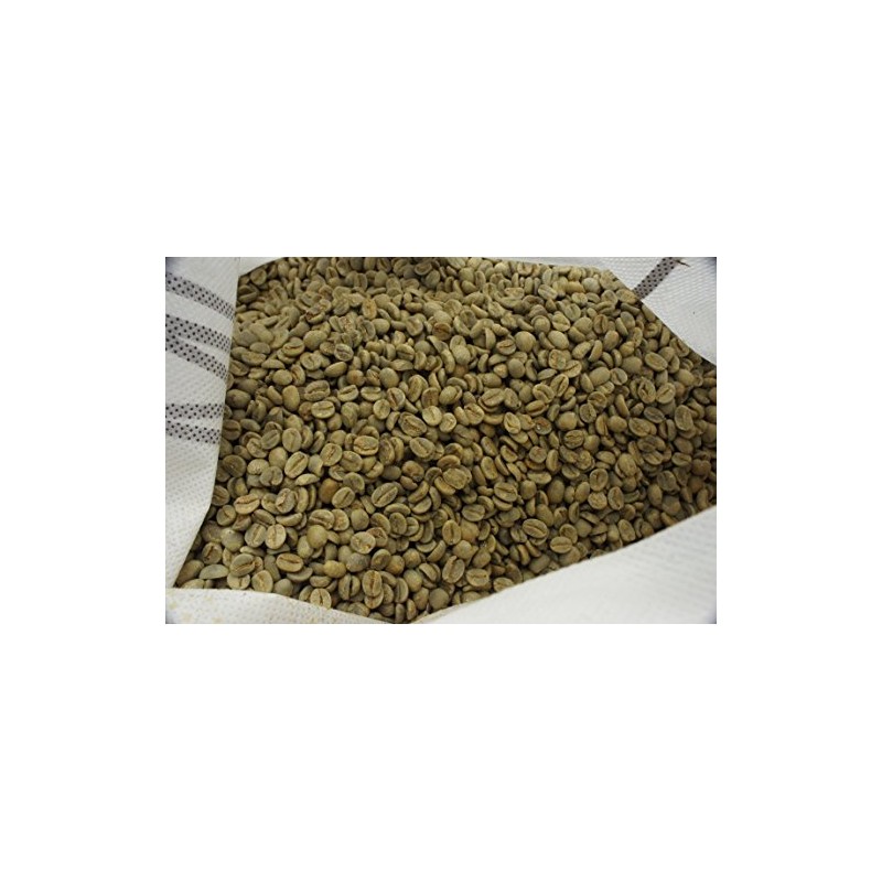 Brazilian Premium Chocolat [US Premium] Raw Coffee Beans Gram Sold