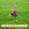 POPETPOP Acrylic Fox Garden Stakes : Fox Lawn Ornaments Garden