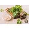 Wholefood Earth - Coarse Himalayan Rose Pink Salt 1 kg
