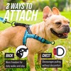 Leash Boss No Pull Dog Harness, Easy Walk for Small,
