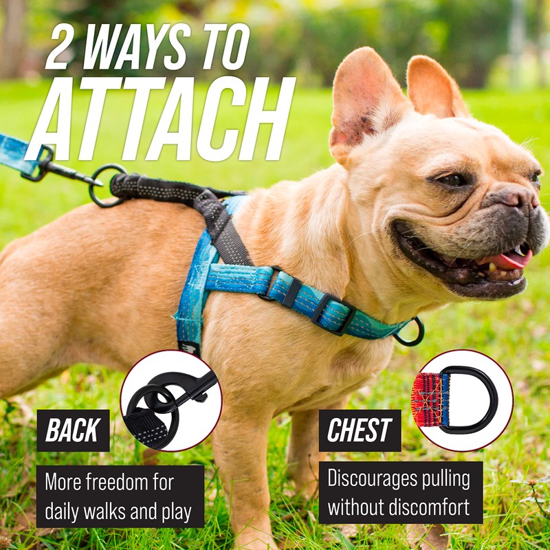 Leash Boss No Pull Dog Harness, Easy Walk for Small,