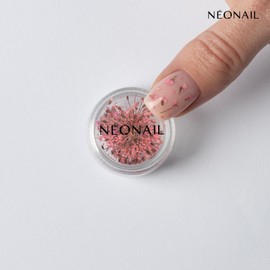 NEONAIL Nail Art Flowers Set - Dried Flowers - Nail Design Accessories - Nail Decorations - Dried Flowers - Nail Decoration - Gel Nail Accessories - 3 Colours - Pink, Purple, Orange