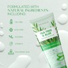 Skin 2.0 Tea Tree & Aloe Exfoliating Scrub - Dermatologist
