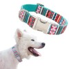 Collar para Perros Extra Grandes con Hebilla de Metal