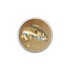 Walleye Design3 Parchment Background KNOB from Realistic Fish Collection DECORATIVE