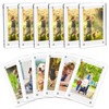 12 Piece Acrylic Fridge Magnetic Frame， Mini Double Sided Refrigerator