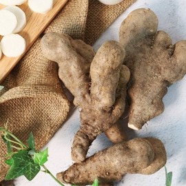 [Direct from Farm] Andong Plain Wild Yam (Ugly) 2kg / [산지직송] 안동 담백한 산마(못난이) 2kg