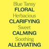 Plant Therapy Plant Therapy Blue Tansy Essential Oil 2.5 mL