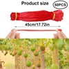 Ruayia Pack of 50 Watermelon Nets, Melon Nets for Garden,