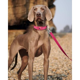 Erbine 4FT Reflective Nylon Dog Leash with Soft Padded Handle for Walking, Running and Training, Supports Small Medium and Large Dogs (Hotpink, 1 Inch Wide)