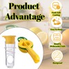 Lemon and Lime Squeezer, Hand Juicer, Hand Tool Lemon Squeezer
