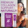Youngevity Collagen Creamer (15 stick packs)