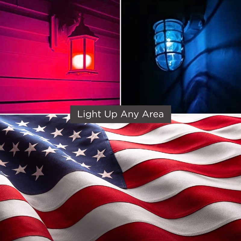 GoodBulb Memorial Day Light Bulbs - 60 Watt Red and