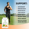 MGN SUPPLEMENTS Turmeric Fusion – 400mg with Black Pepper &