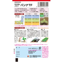 Takii Seedlings Melon Panna TF