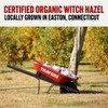 Thayers Thayer Extracto de hamamelis original, 0.35 l