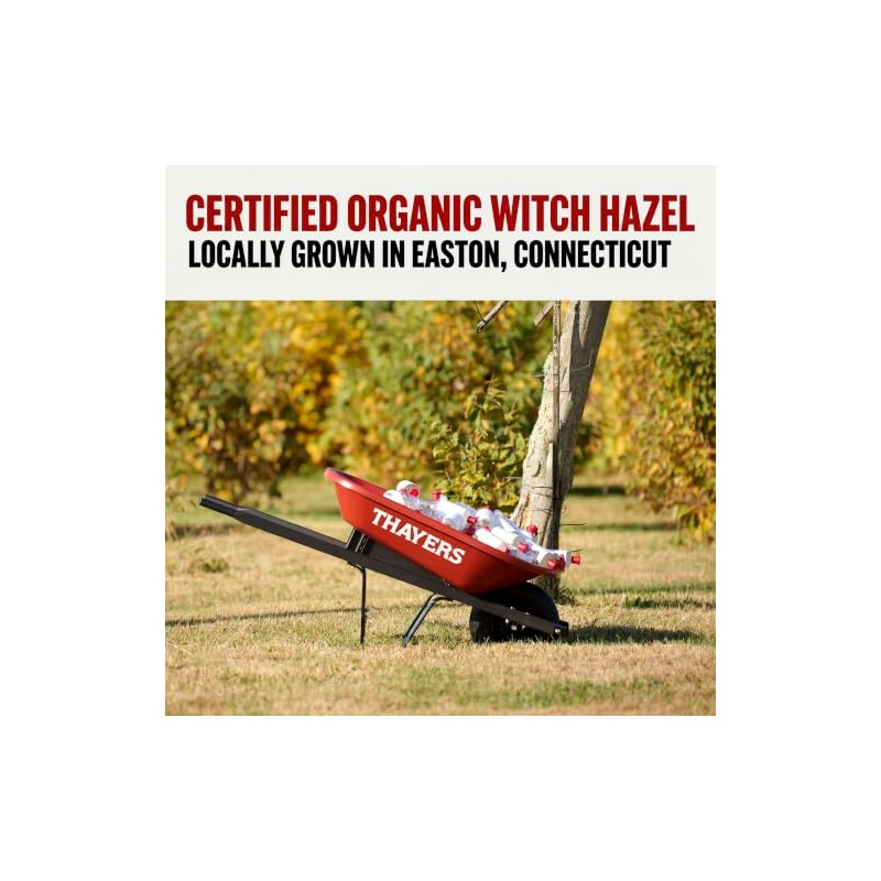 Thayers Thayer Extracto de hamamelis original, 0.35 l