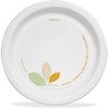 Cup 8-1/2" Paper Dinnerware Plates