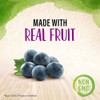 Smucker's Natural Concord Grape Squeezable Fruit Spread, 19 Ounces (Pack
