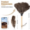Ostrich Feather Duster, Household Dust Removal Tool with Wooden Handle,