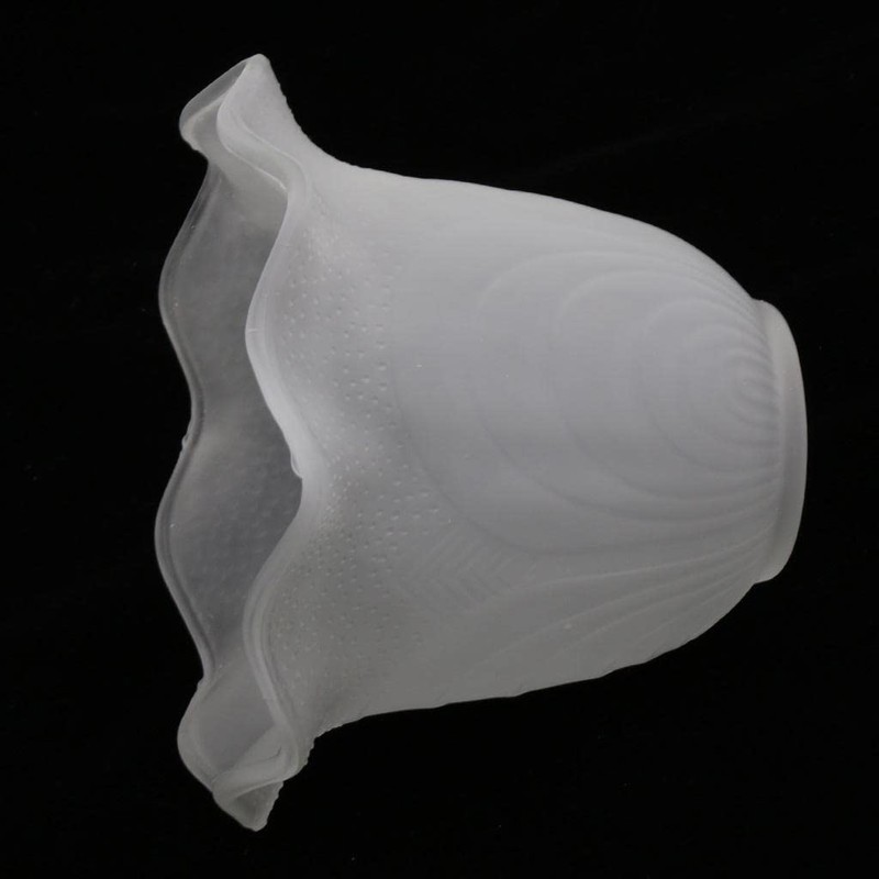 SM SunniMix Frosted Floral Replacement Chandelier Fan Shades #1