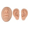 Silicone Ear Model Novice Simulated 3D Nose and Mouth Model
