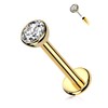 Melighting 14K Solid Gold Flat Back Earring Titanium Threadless Push