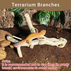 BNOSDM Reptile Branches, 9.5-11.4inch Snake Climbing Branch, Terrarium Wood Branch Decor, Bearded Dragon Tank Climbing Accessories for Lizard, Gecko, Chameleon, Frog