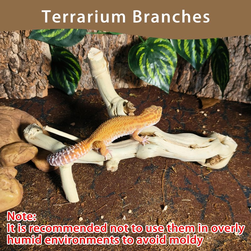 BNOSDM Reptile Branches, 9.5-11.4inch Snake Climbing Branch, Terrarium Wood Branch