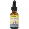 Willow/Garlic Oil Herbs For Kids 1 oz Liquid