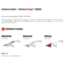 BREADEN Lure, Minimal, Ebology 50, Normal, 12, Black Candy