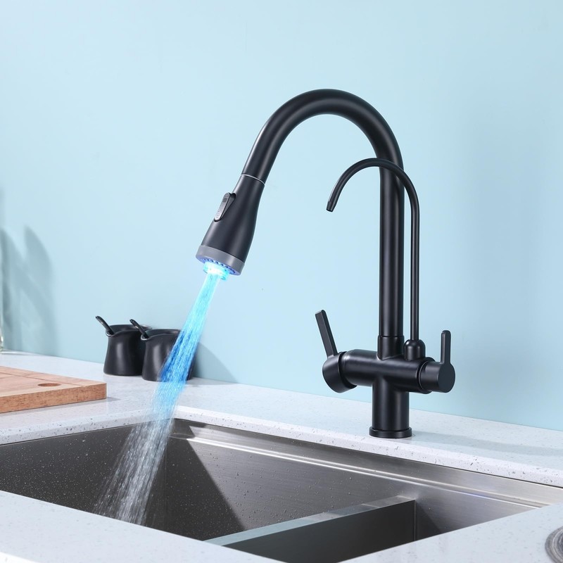 ICREEH Matte Black 2 in 1 Kitchen Sink Faucet -