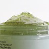 Plenty Plant Plentiplant Melting Houttuynia cordata Soothing Cream 100g /
