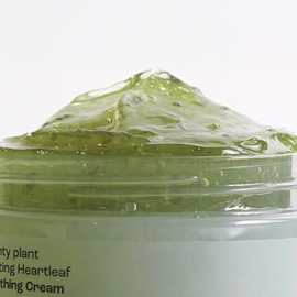 Plenty Plant Plentiplant Melting Houttuynia cordata Soothing Cream 100g / 플렌티플랜트 멜팅 어성초 수딩 크림 100g
