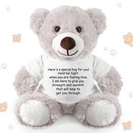 Lenwen Oso de Peluche de Regalo de Hug te Envío Regalo Inspirador de Abrazo de Oso Animal de Oso de Felpa para Mejorar Pronto Pensar en Ti para Mujeres Niños Adultos, 13.78 Pulgadas (Gris)