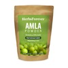 Herbsforever Amla Powder | Phyllanthus Emblica | Rich in Vitamin