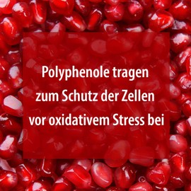 Pharma-Peter Pomegranate Extract Capsules 90 Capsules