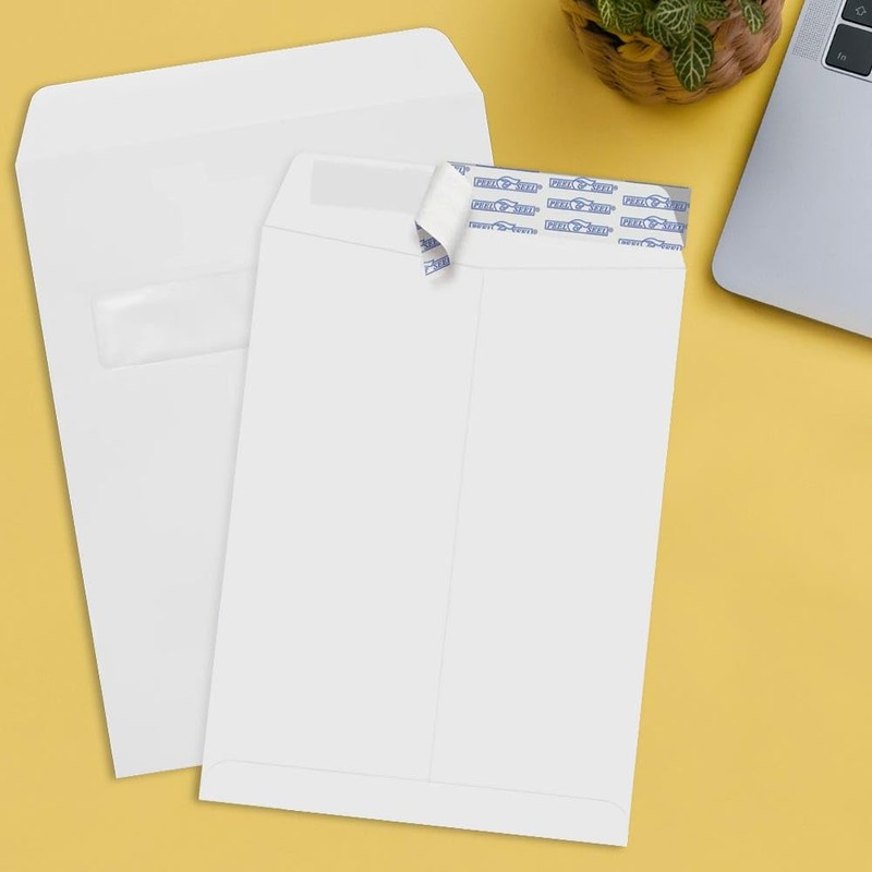 LUXPaper 9 x 12 Open End Window Envelopes | Peel